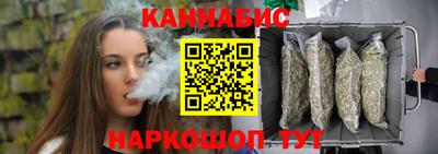 гидра Ставрополь