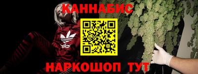 молекула духа Славгород