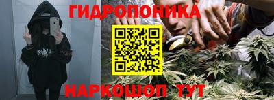 гидра Ставрополь