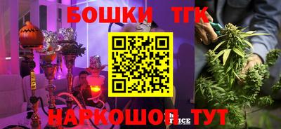 гидра Ставрополь