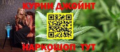 гидра Ставрополь