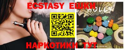 гидра Ставрополь