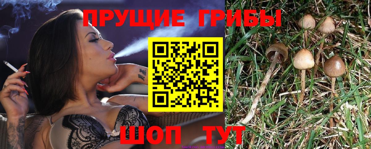 Галлюциногенные грибы ЛСД  купить наркоту  Москва  Вход с VPN 
